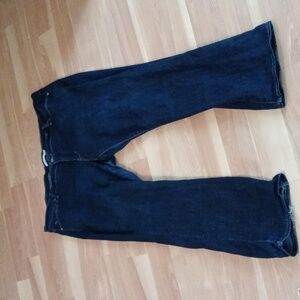 Levi Strauss& Co. Plus Size Jeans